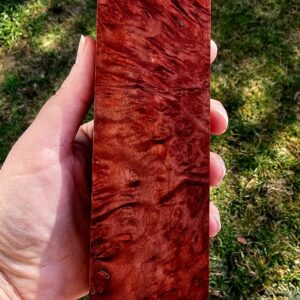 Drewno stabilizowane BL893