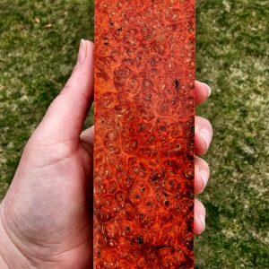 Drewno Stabilizowane BL876