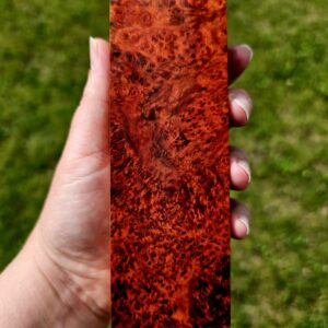 Drewno Stabilizowane BL1093