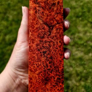 Drewno Stabilizowane BL1093