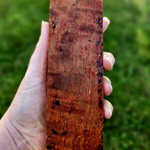Drewno stabilizowane BL1372